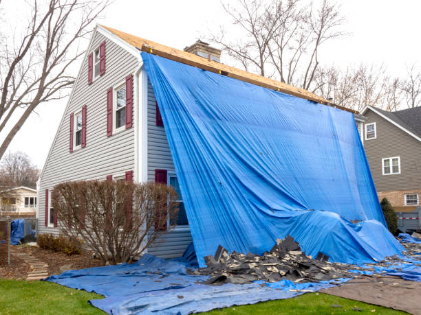 Best Furniture Removal  in Way, NE