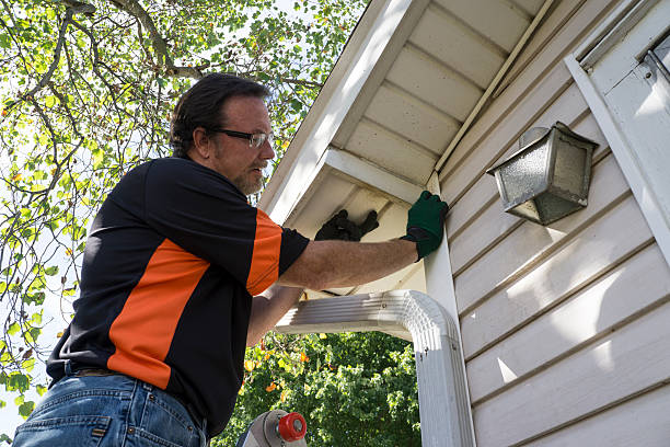 Trusted Wayne, NE Junk Removal Experts